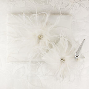 Fabulous Feathers Guest Book and Pen Set