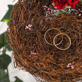 Love Nest Rings Holder