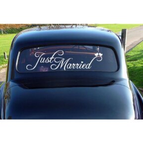 Just Married with Love Birds Wedding Car Decal